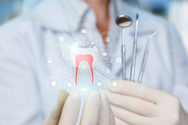 Why Choose Us for Your Dental Needs in Cumberland Hill, RI